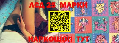 стаф Малгобек