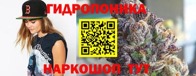 стаф Малгобек