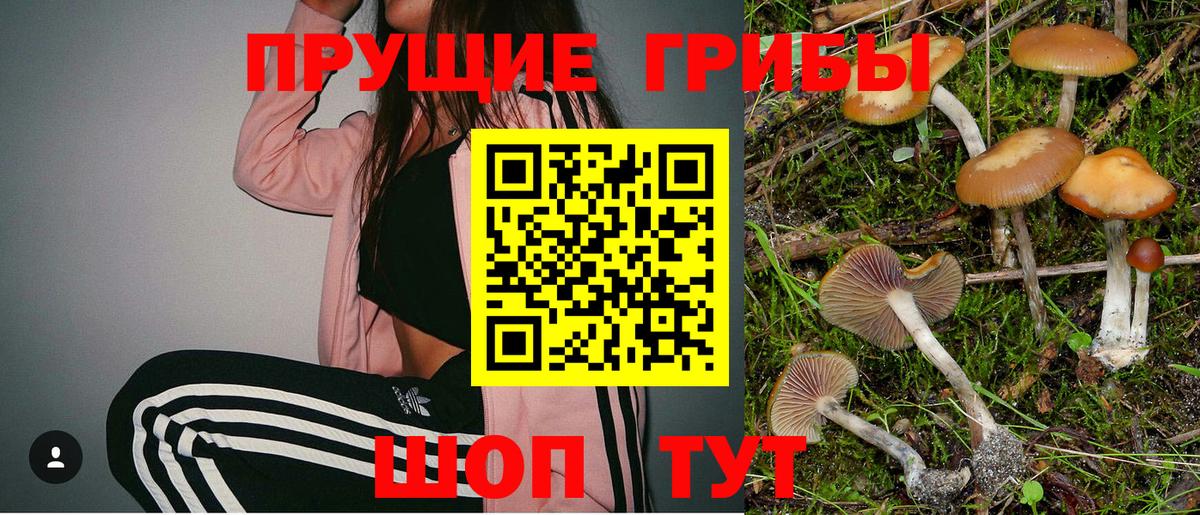 Псилоцибиновые грибы Psilocybine cubensis  Вход с VPN  Урай  Галлюциногенные грибы Psilocybe 